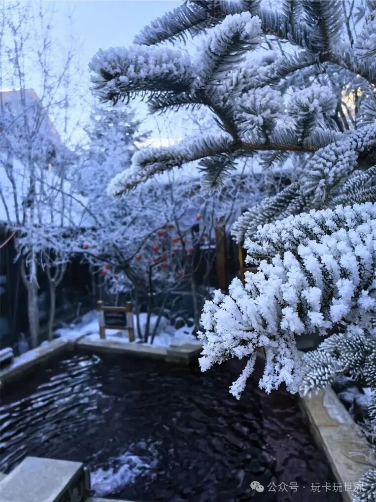 长白山万达雪季早鸟套餐999元起 2026滑雪住玩全含不加价