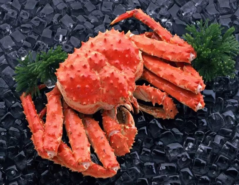 $299赏梅花叹帝皇蟹5斤生猛大龙趸游湿地公园仅限50名