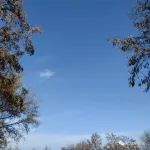 退休之后，不管你有多少存款，也别做下面3件糊涂事