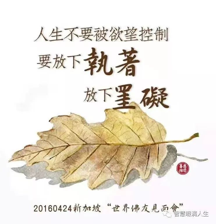 智慧心語 生命就在呼吸間 智慧暇满人生 微信公众号文章阅读 Wemp