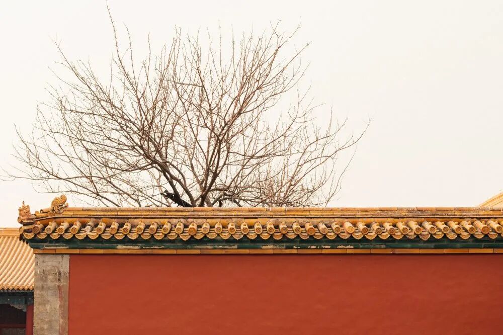 纯色板系列 | 自带艺术气息的幕墙新材