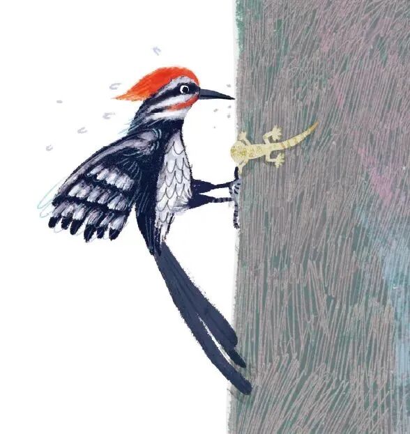 恐龙读后感100字（看了恐龙书后的读后感）