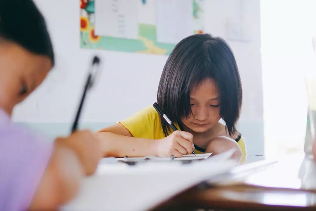 大宁公益研学营 | 走出去，世界就是你的家