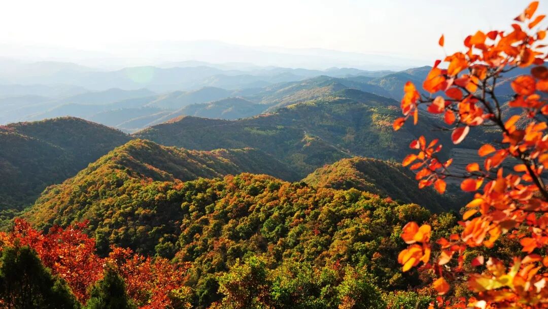 大宁公益研学营 | 走出去，世界就是你的家