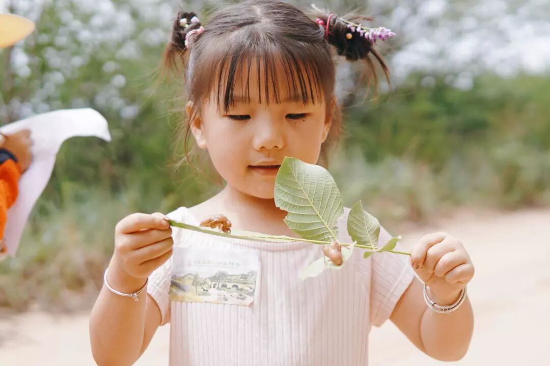 大宁公益研学营 | 走出去，世界就是你的家