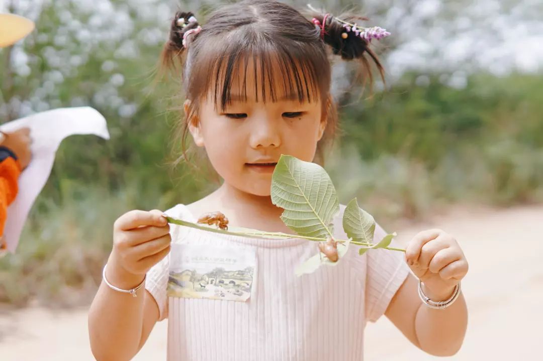 大宁公益研学营 | 走出去,世界就是你的家 大宁公益研学营 | 走出去,世界就是你的家