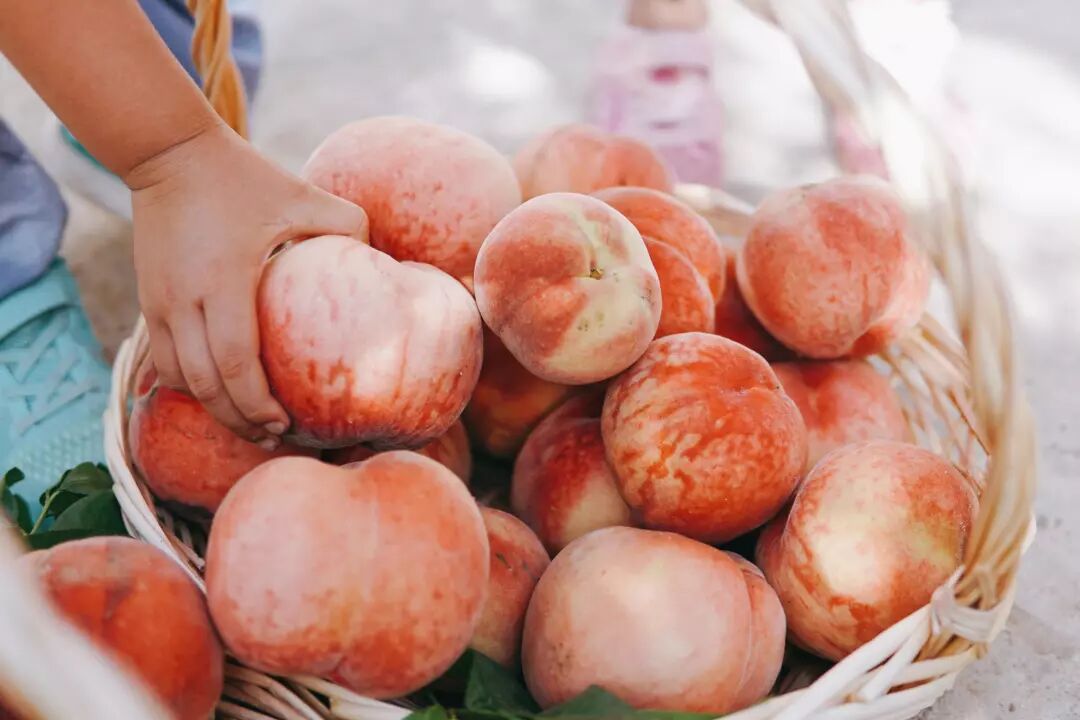 大宁公益研学营 | 走出去，世界就是你的家