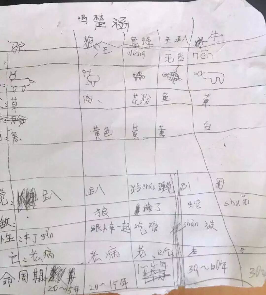 大宁公益研学营 | 走出去，世界就是你的家