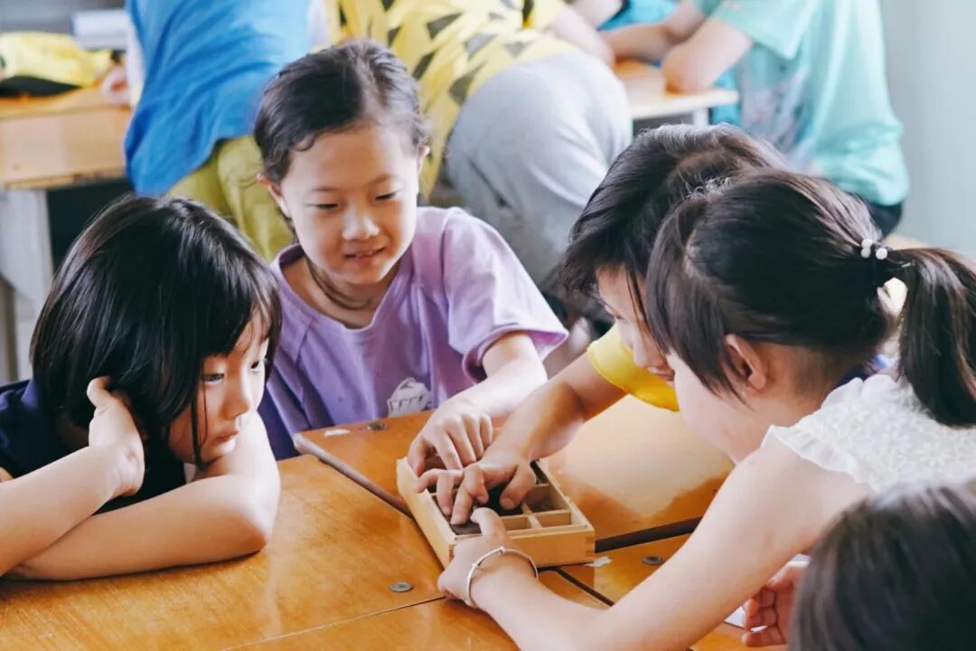 大宁公益研学营 | 走出去，世界就是你的家