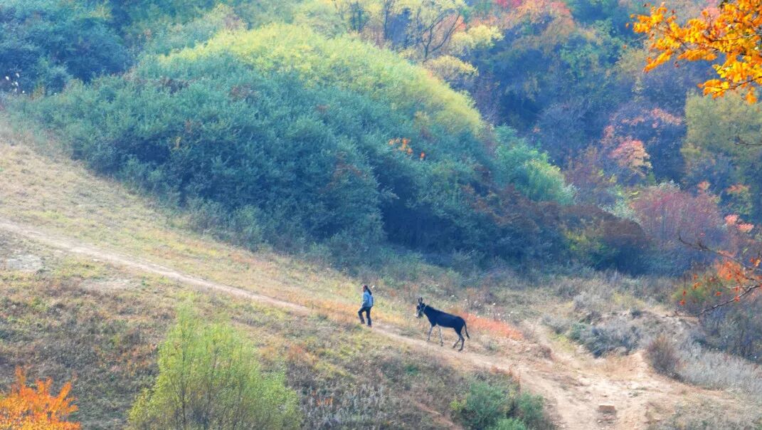 大宁公益研学营 | 走出去，世界就是你的家