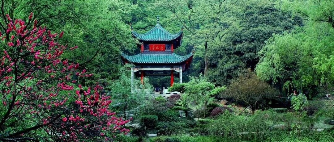 爱晚亭将启动修缮，完成施工要等到......