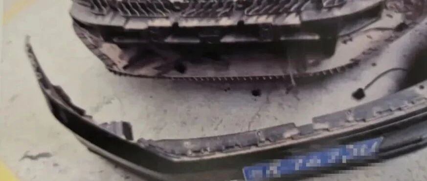 事发长沙！车狗相撞，狗没伤，车坏了，法院这样判