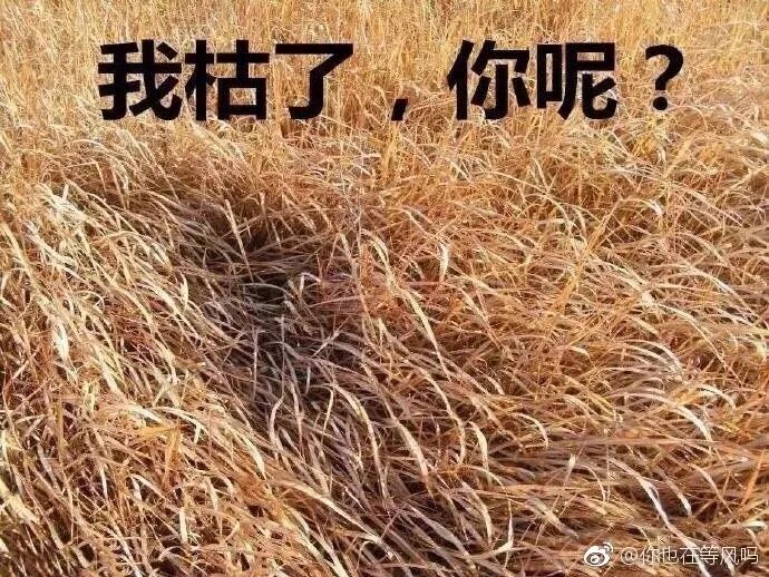 太激动了！澳洲政府重磅官宣，或拯救无数妈妈的生命，这个女性杀手，只需几百澳元就能解决 - 1