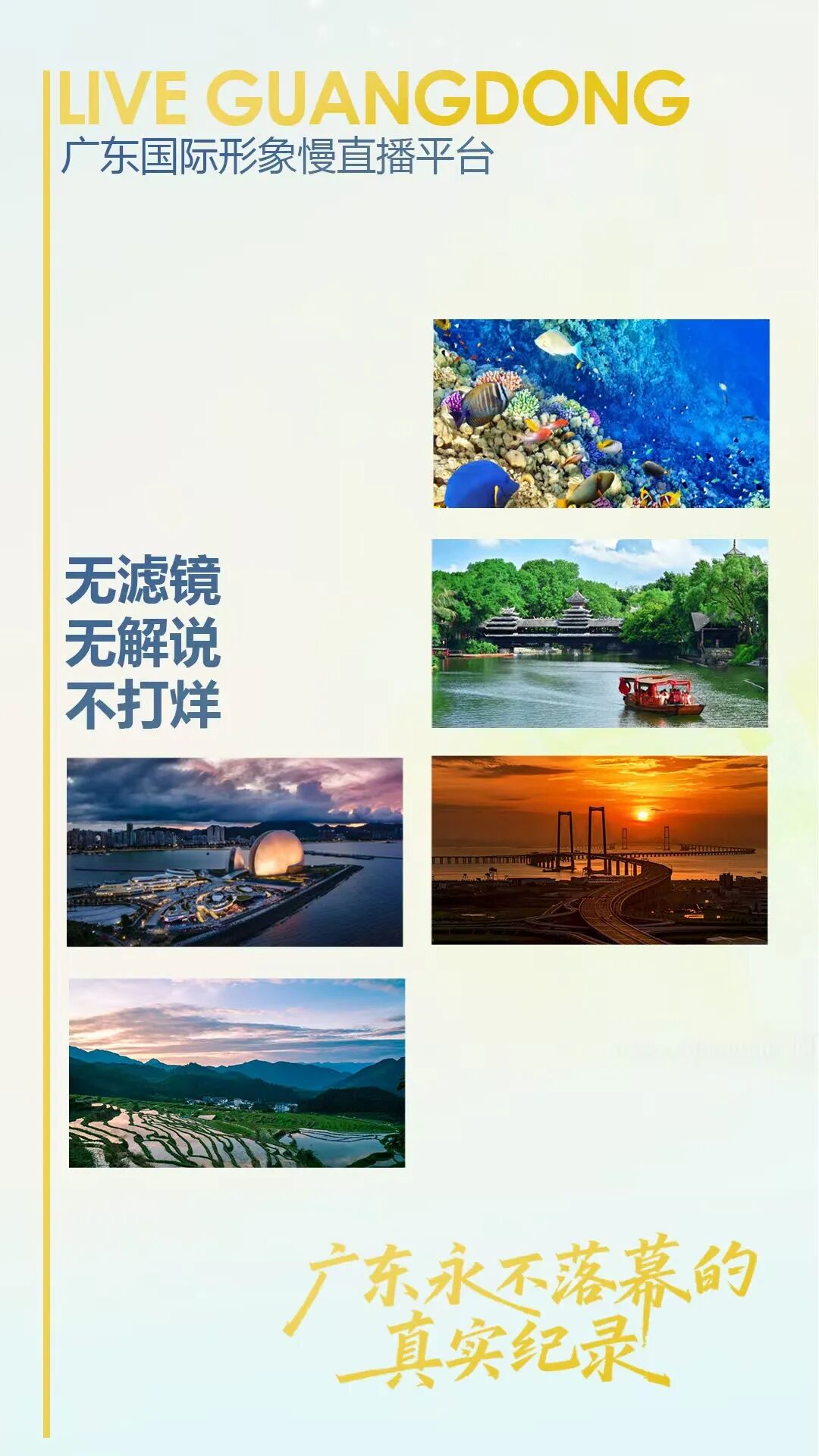 f9bf6010a48afc9e443294c5eab995d1_.jpg