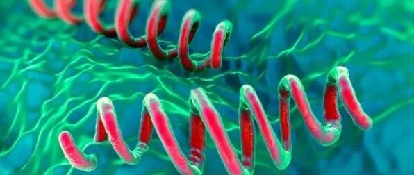 TPPA阳性，RPR阴性，病人到底有没有感染梅毒？