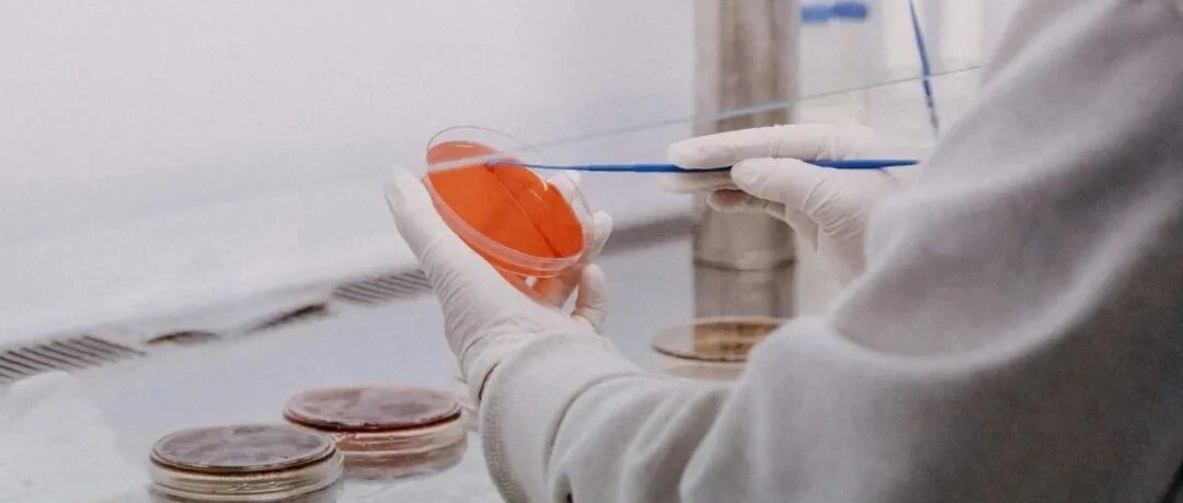 那些从医院离开的检验人，现在过得怎么样了？