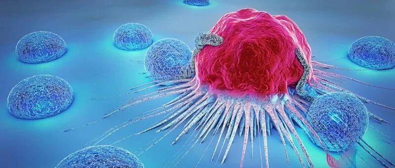 这些一级致癌物在生活中很常见，而很多人还蒙在鼓里…