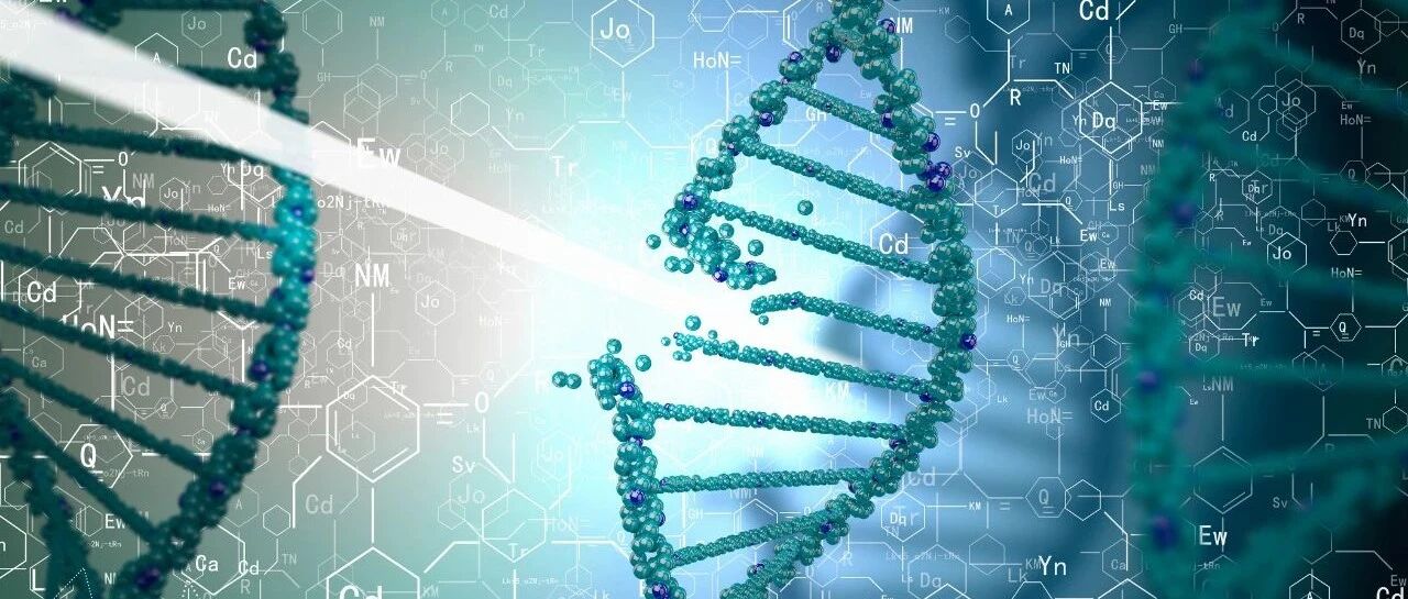 长相随爸，智商随妈？遗传的真相，终于有答案了！