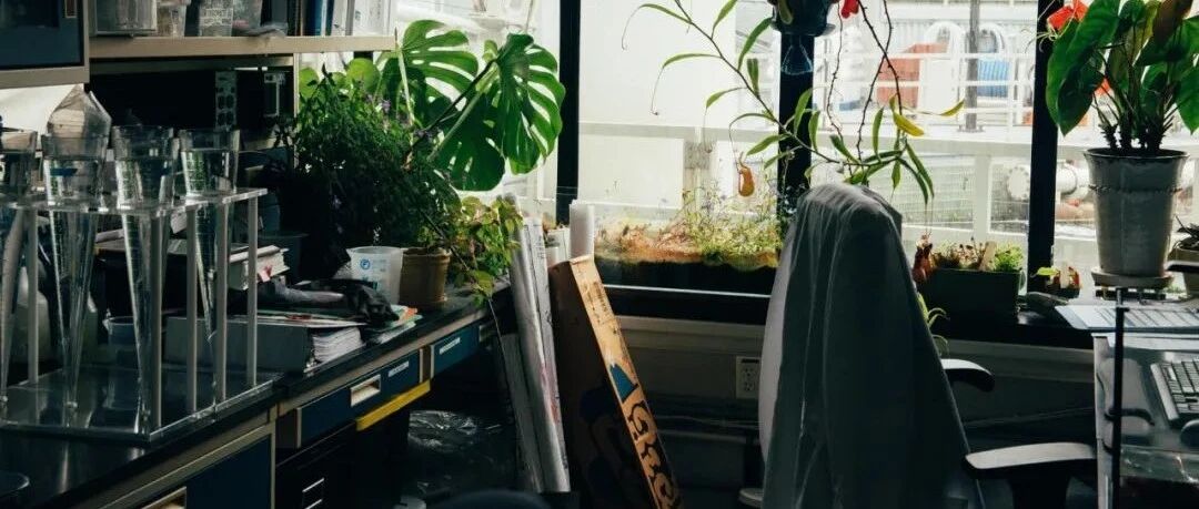 惹得专家拍案怒斥，检验科参加室间质评的这种坏习惯快改了吧！