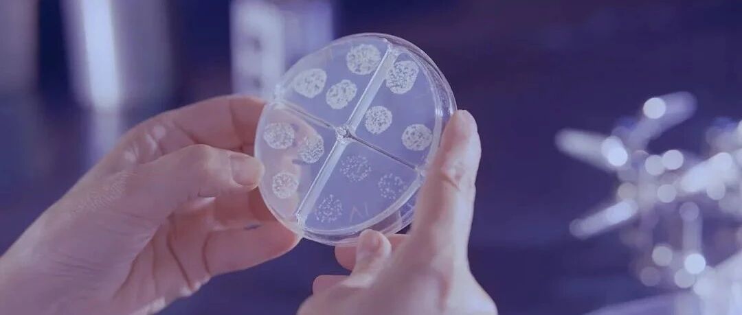 国家大力推动的「检验结果互认」，到底难在哪儿？