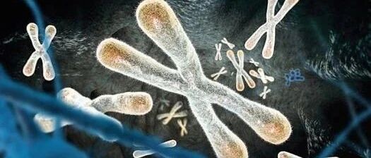 衰老标志物全面总结——《临床实验室》“老年医学与检验”专题