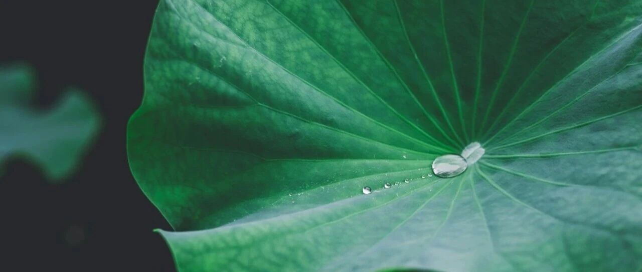 我以为自己被“绿”了！结果，比被“绿”还悲催