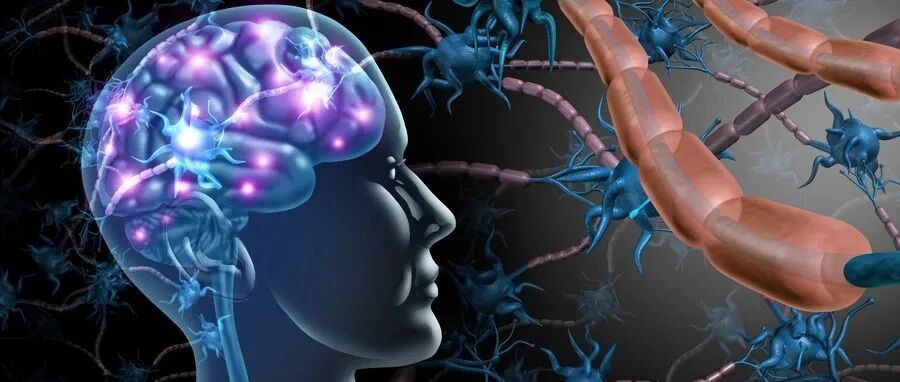 这位检验人，在小领域做出了引人瞩目的大成绩！