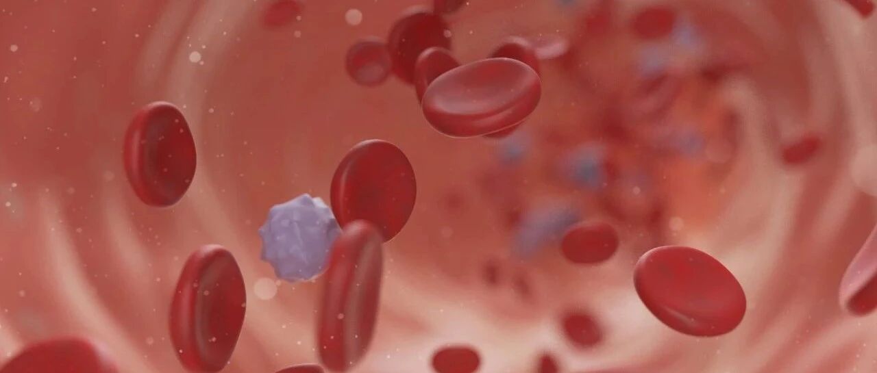 血小板抗体检测的临床应用