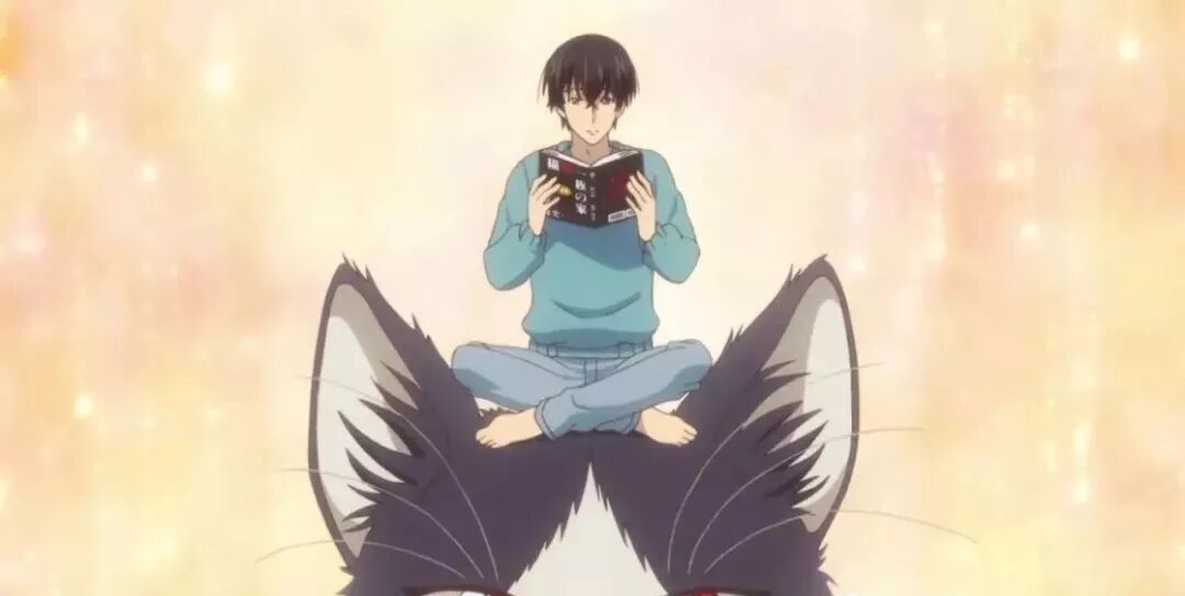 同居人是猫 百度云盘资源下载 二次元资源分享 微信公众号文章阅读 Wemp