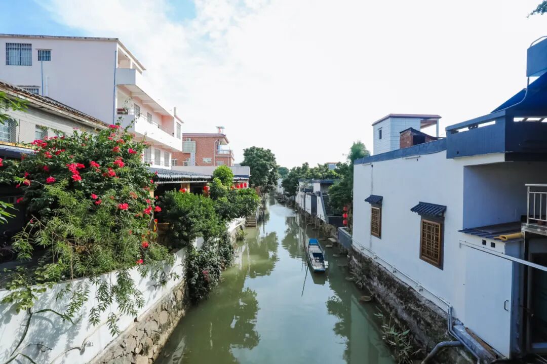 石板沙村另一处"网红打卡点"位于新会睦洲的石板沙村.