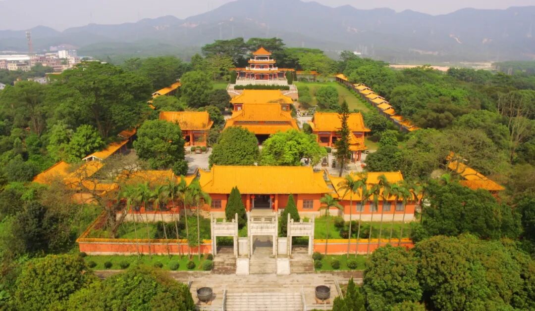 江门这片海里原来有这么多故事