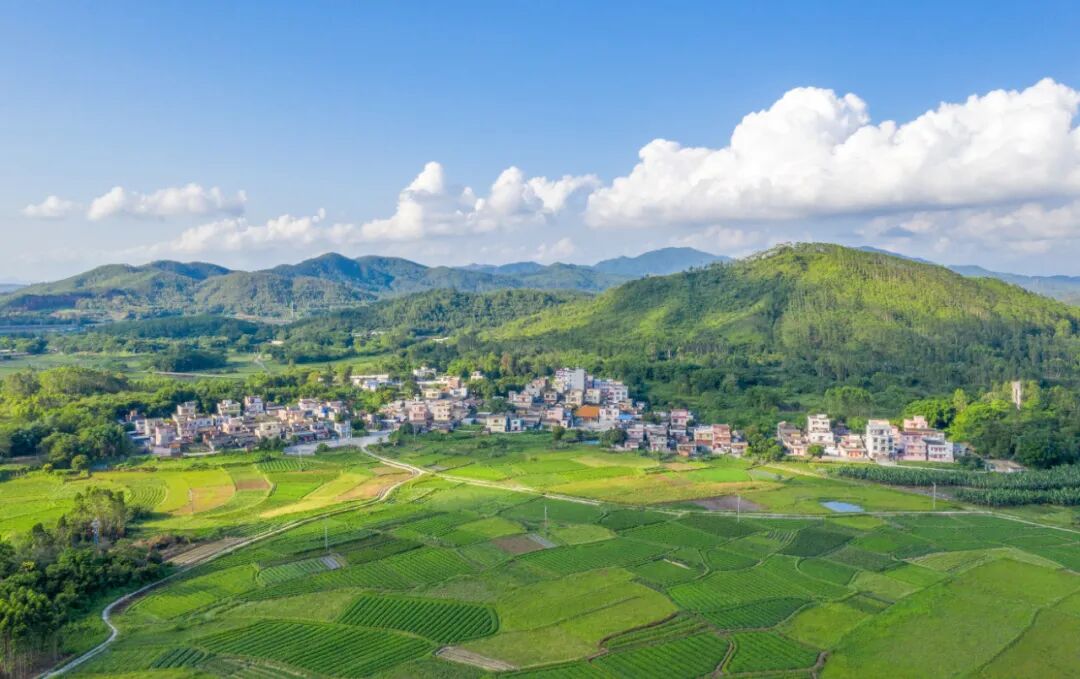 粤新年兔添福奋进新征程建功新时代2023年阳西县爱家乡线上图片展