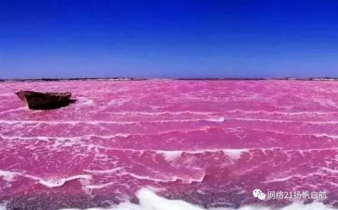 ​只有想不通的人，没有走不通的路