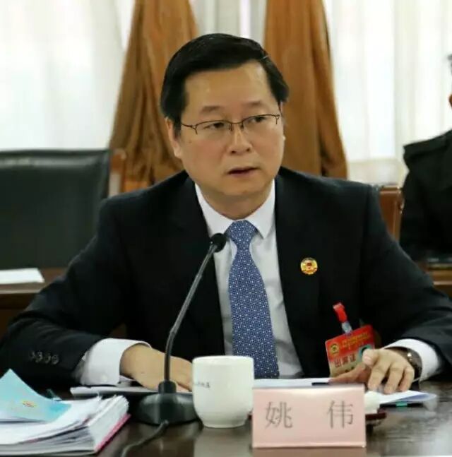 区政协委员姚伟