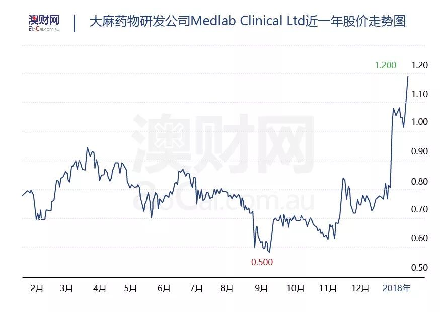 澳洲五大”商业巨头“面临艰难抉择——“投资者”需重点关注 - 2