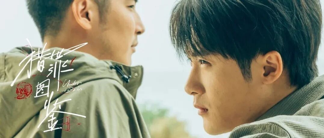 热度飙升！三月的网剧黑马，竟是一部让人记不住名字的悬疑剧？