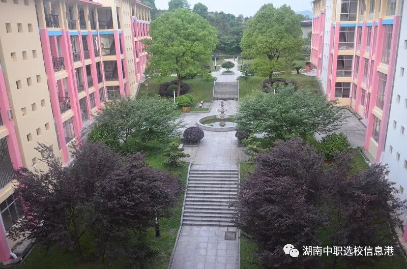 来了湖南外国语职业学院五年制大专欢迎您