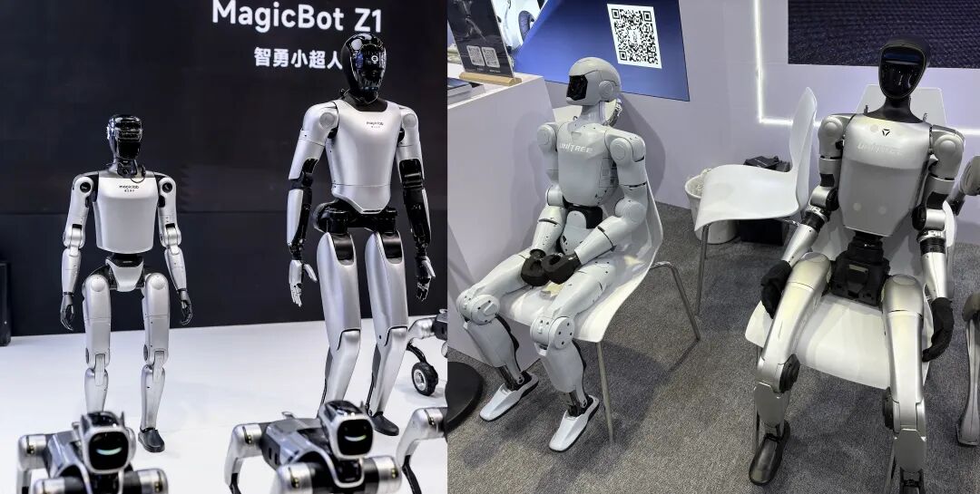 魔法原子和宇树的人形机器人产品。图片来源：乔心怡
