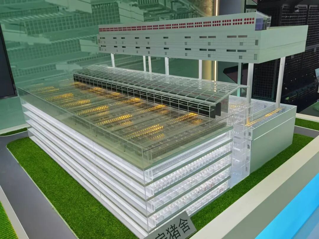 起底猪饲养员高薪之谜：单人管理5000头猪，有人年薪70万元