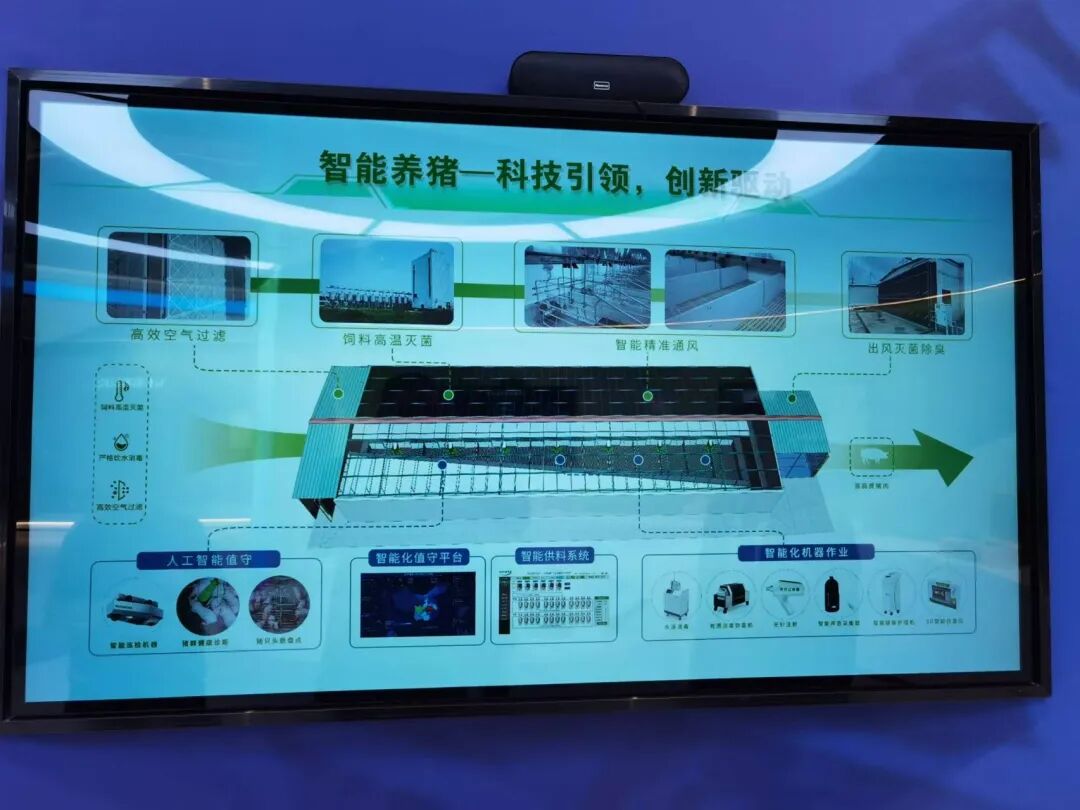 起底猪饲养员高薪之谜：单人管理5000头猪，有人年薪70万元