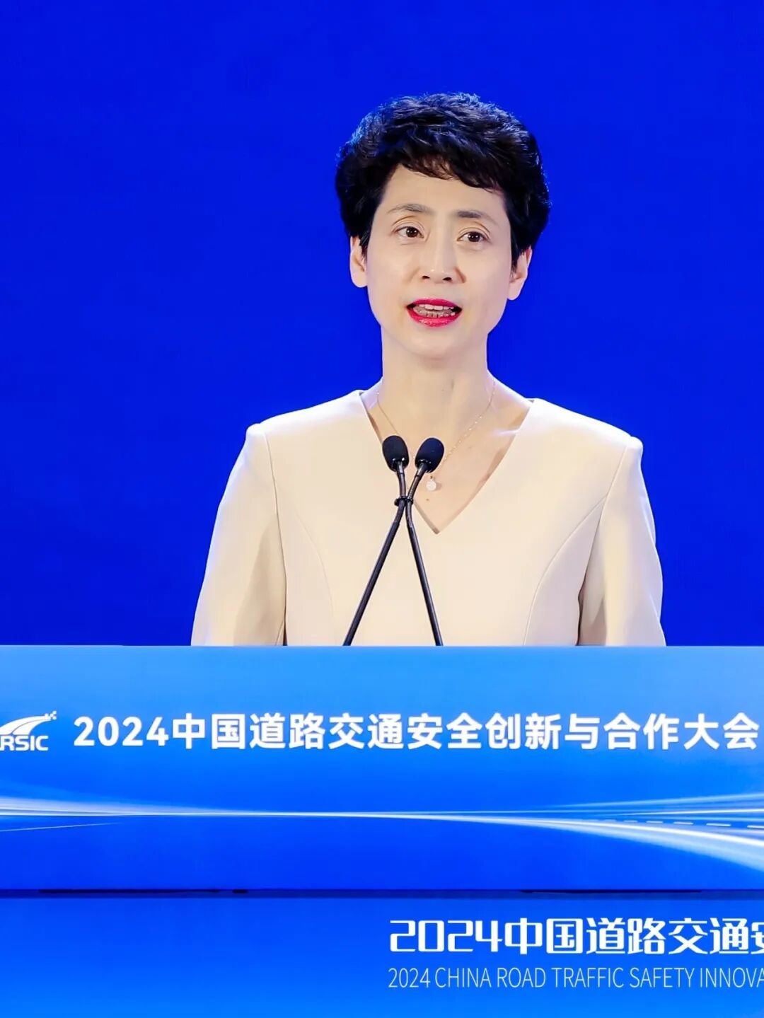 市公安局局长,厦门市海丝中央法务区建设工作领导小组副组长陈育煌