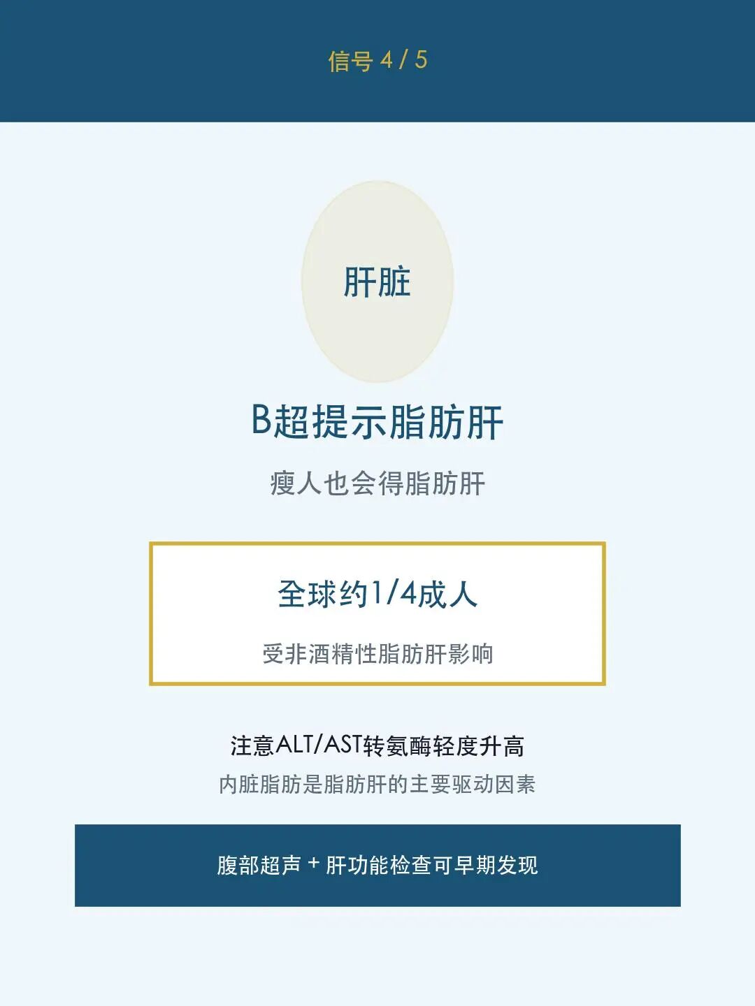 信号4:脂肪肝