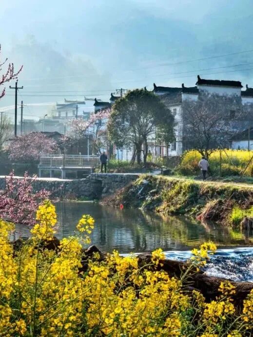 春天的婺源五彩就像是在流动徽州小众游