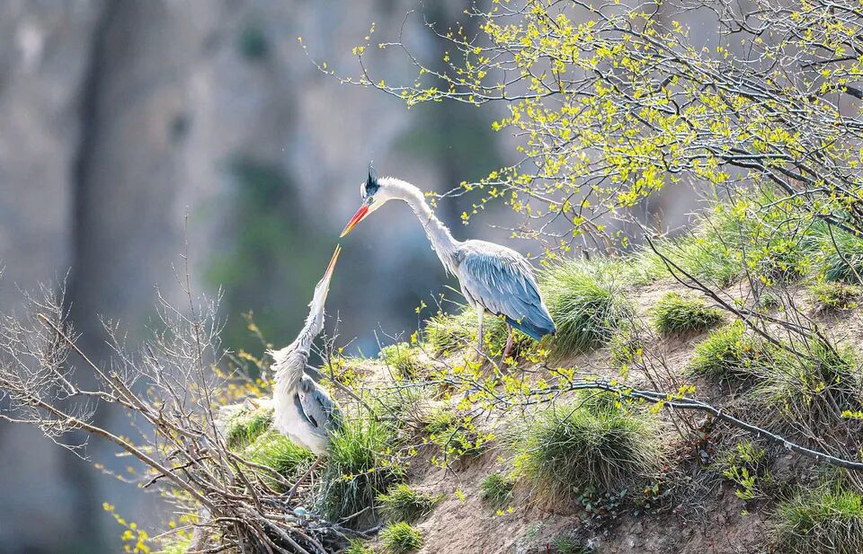 电子版 | 《山西广播电视报》2023年第15期(图8)