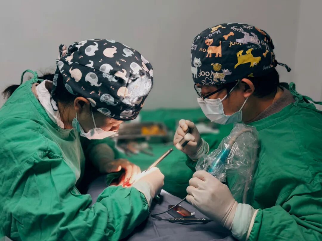 口腔无痛麻醉仪怎么用优质学科速览——第924医院口腔科_https://www.jmylbn.com_新闻资讯_第14张