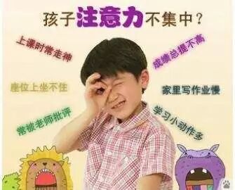 其实你并不了解专注力!