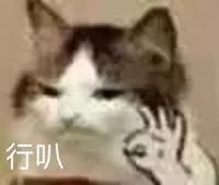 老公能懶到怎樣慘絕人寰的程度？網(wǎng)友們的吐槽要笑瘋了......(圖3)