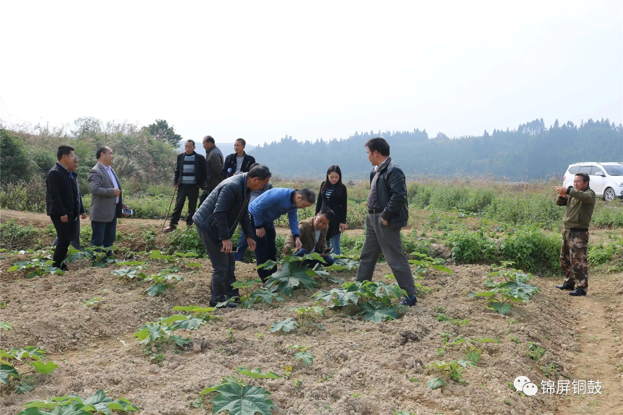 基地负责人杨胜福向大家传授种植技术