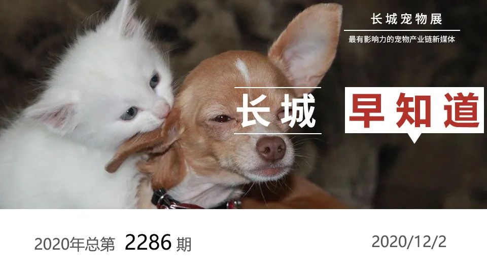 郑州宠物_郑州二七区宠物救助站_郑州领养宠物