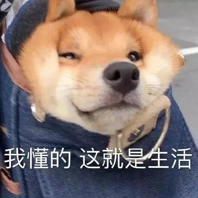 【男神】“北大杨洋”帅翻全网！一张神颜生图吸粉2000万：妈呀，我恋爱了（组图） - 75